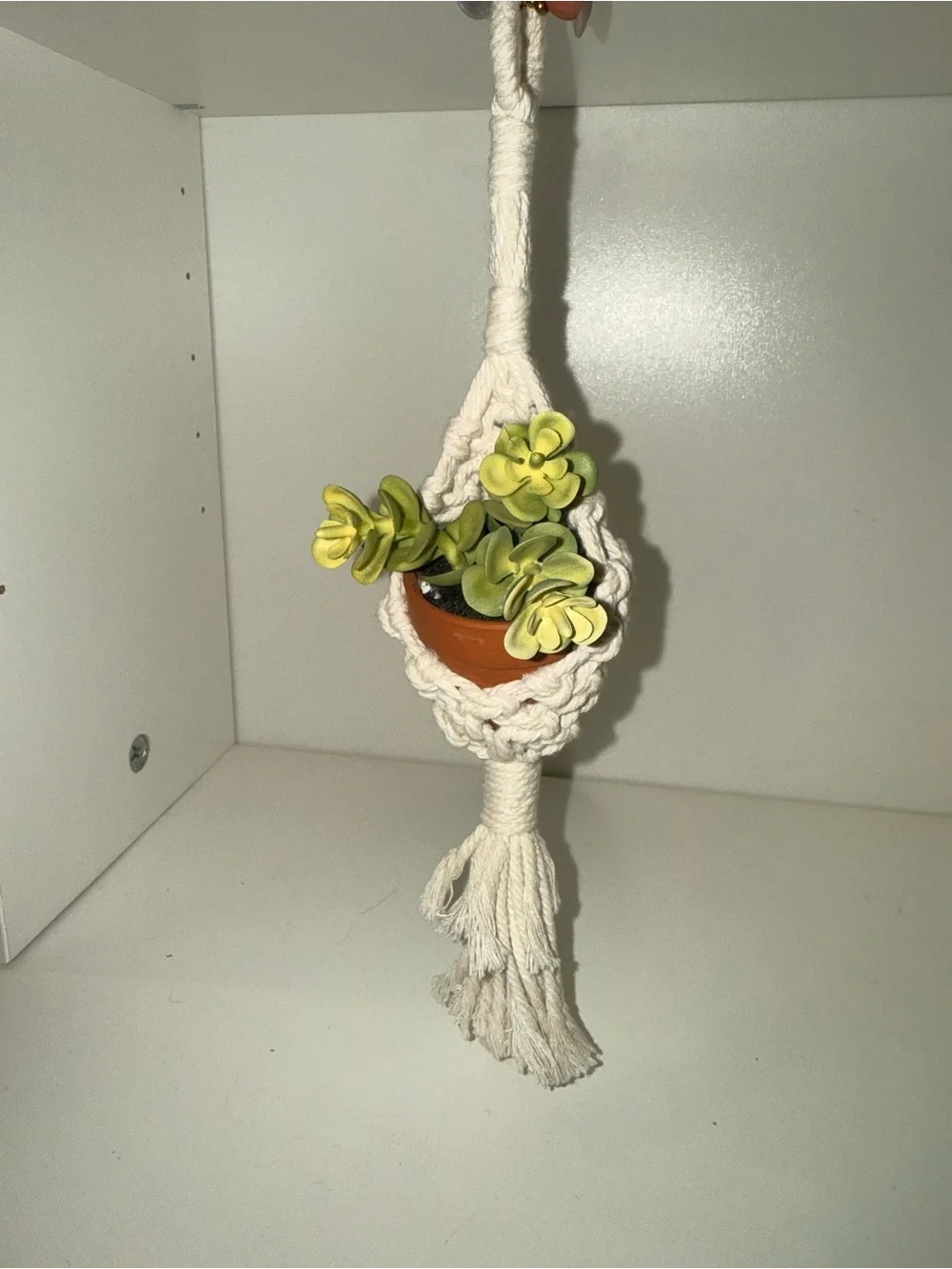 Macramé Hanging Plant Holder for Car Mirror in Cream with Faux Succulent